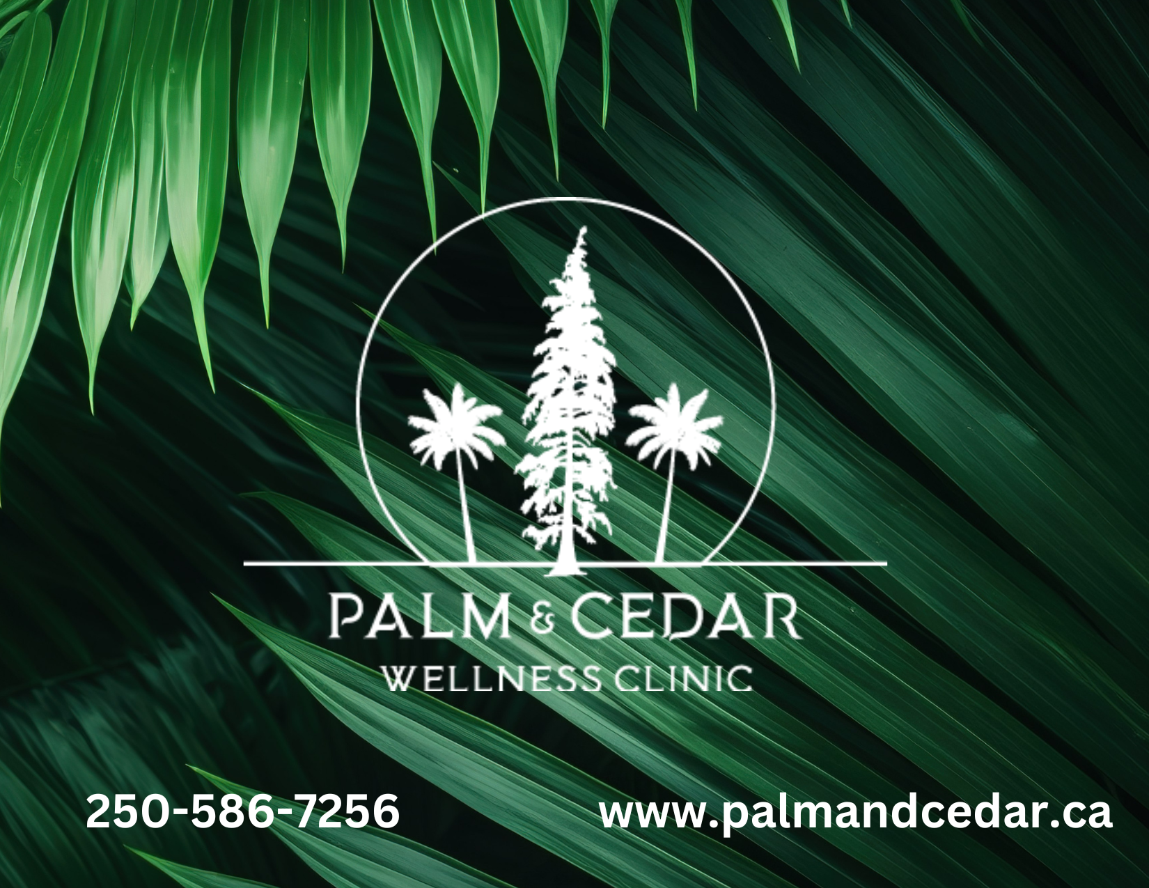 Gift Certificates - Image 2